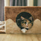 Cat Furniture