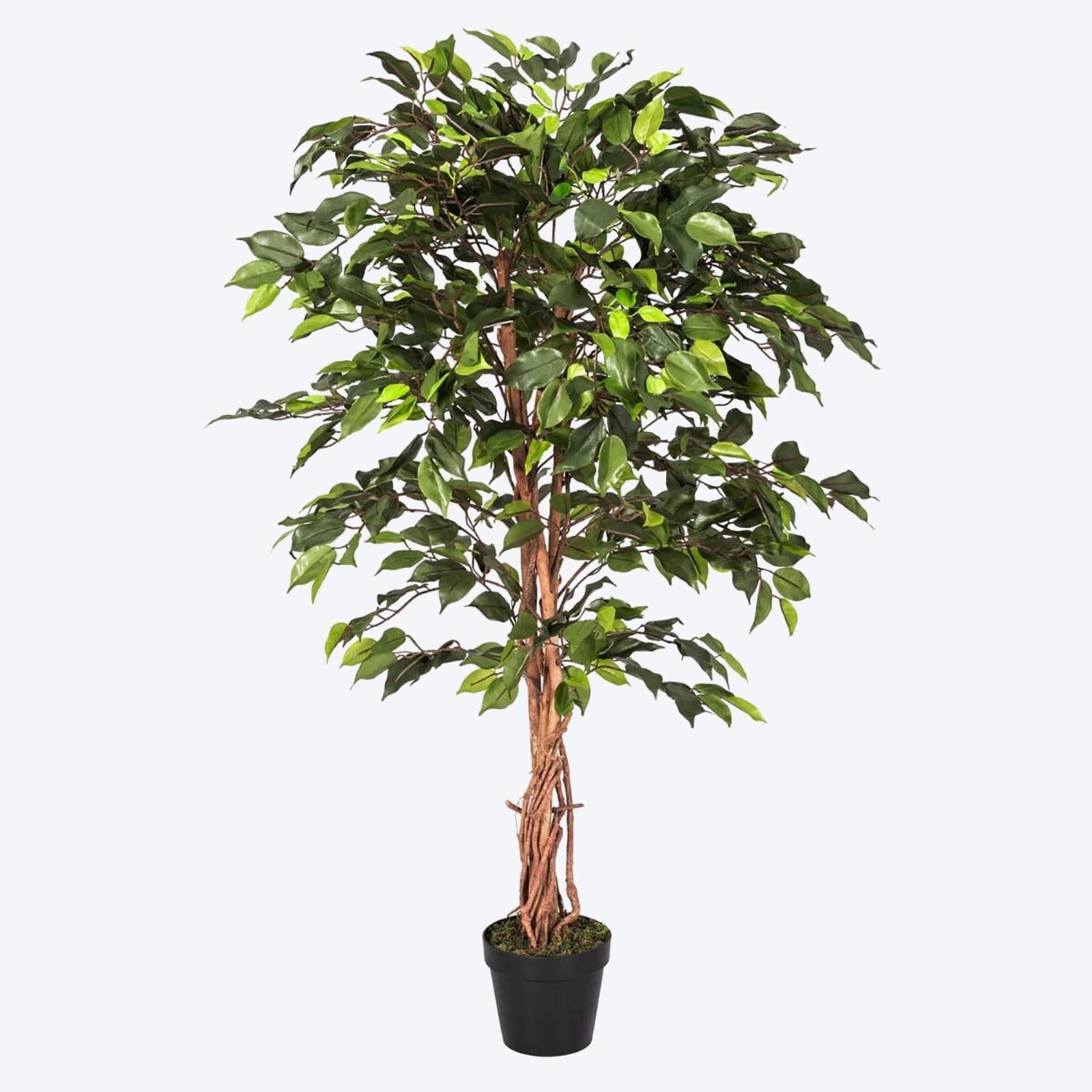 Artificial Ficus Tree - Large Realistic Faux Plant with Pot 4ft & 6ft