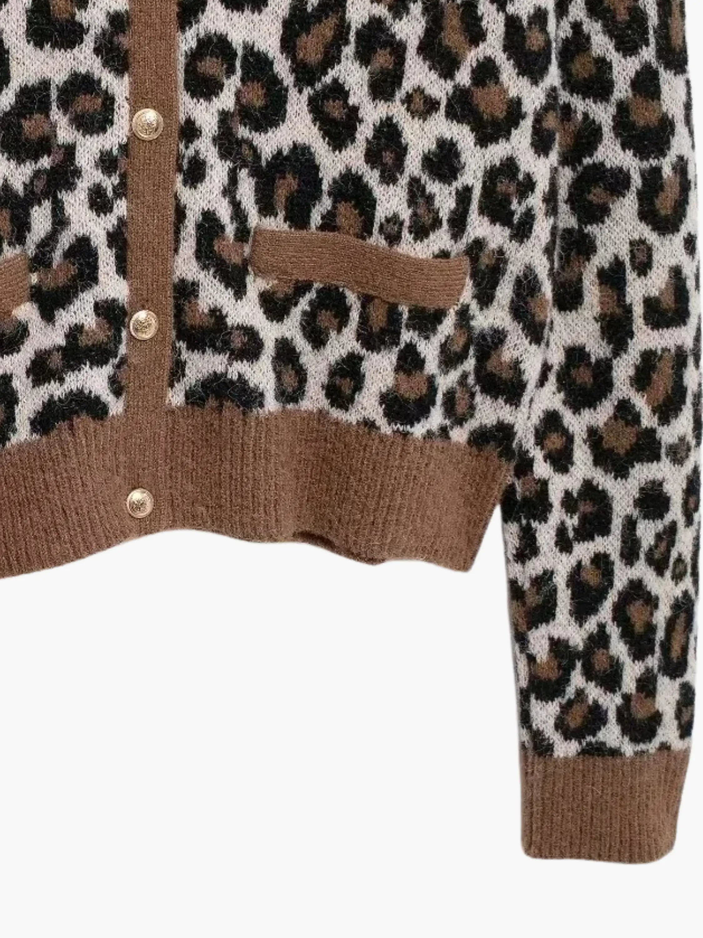 Leopard Print Cardigan