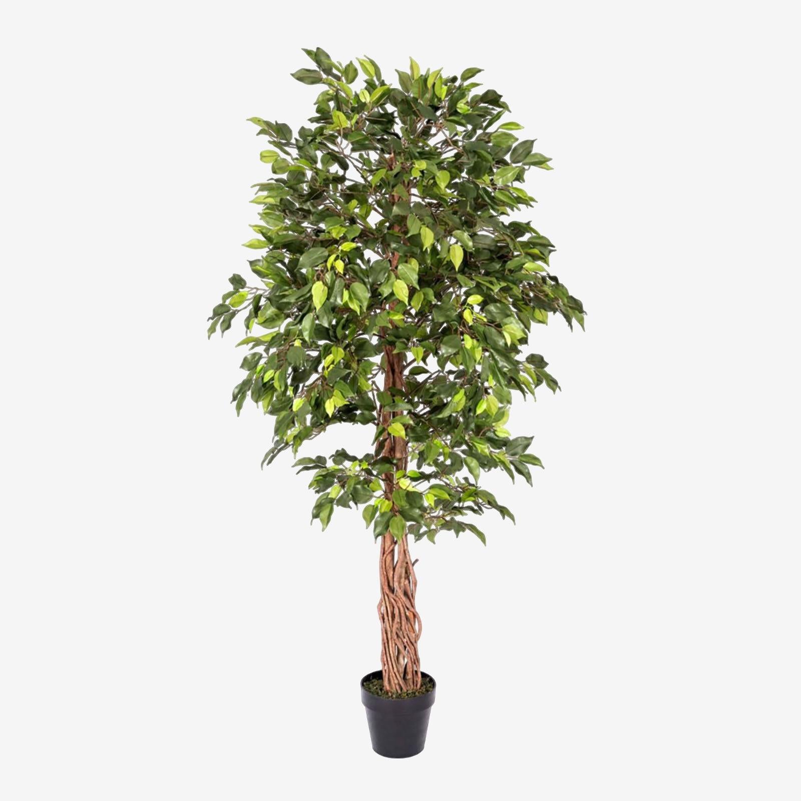 Artificial Ficus Tree - Large Realistic Faux Plant with Pot 4ft & 6ft
