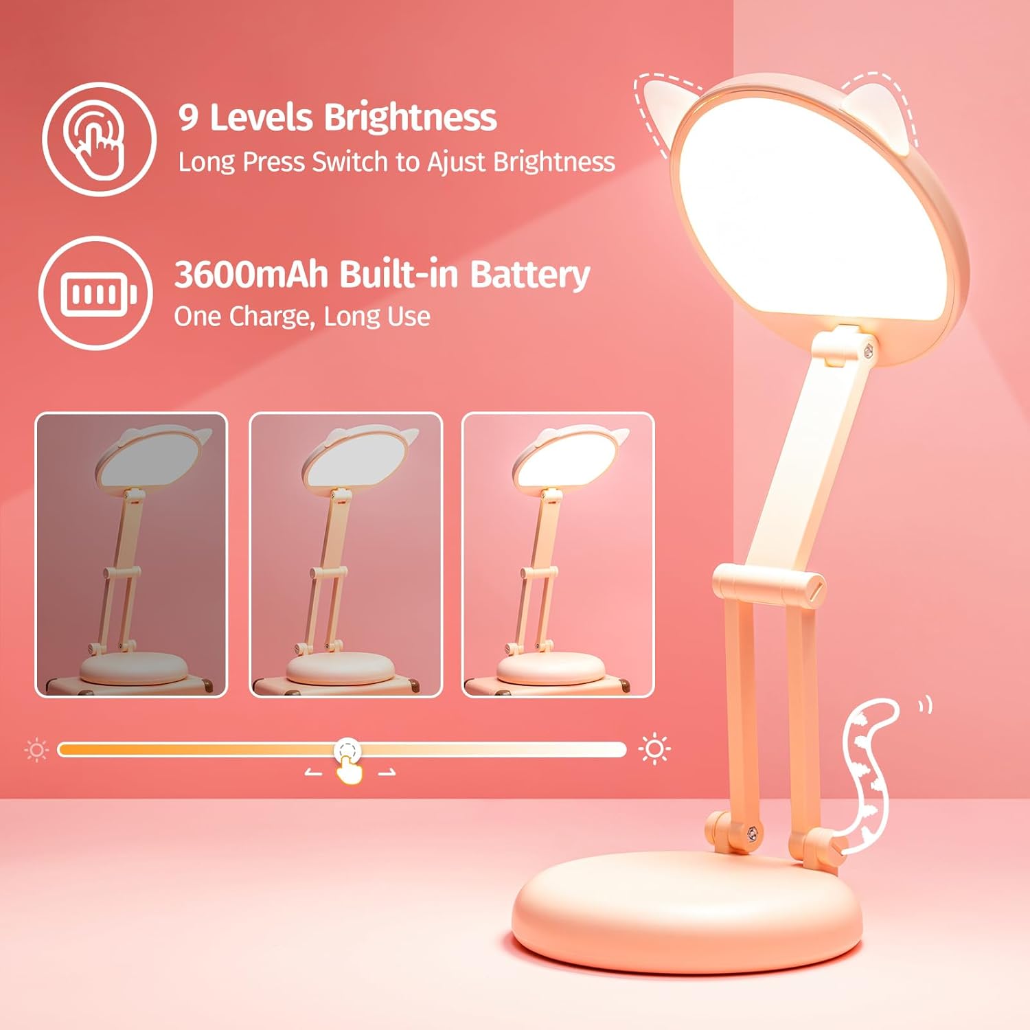 Rechargeable LED Desk Lamp