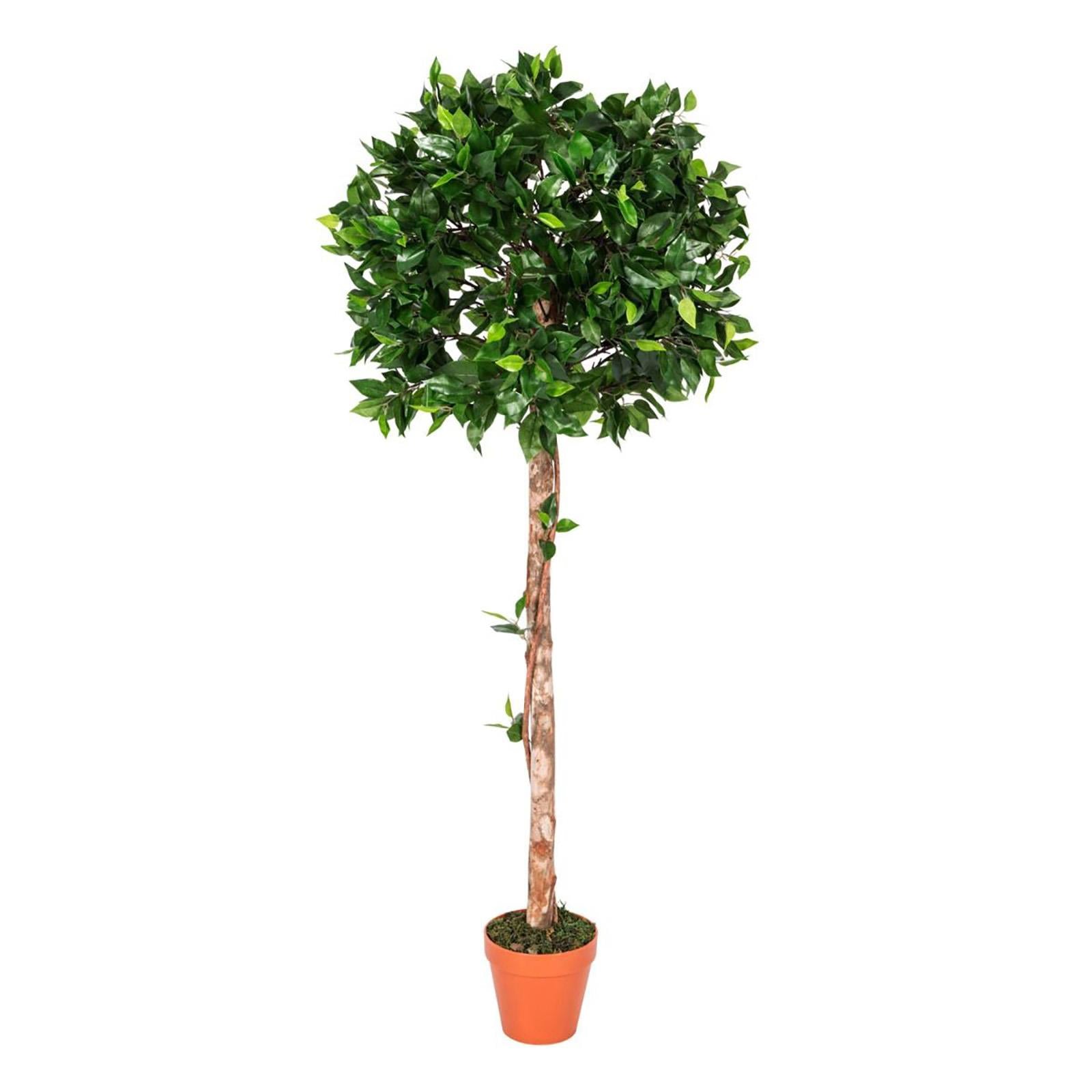 Artificial Ficus Tree - Large Realistic Faux Plant with Pot 4ft & 6ft