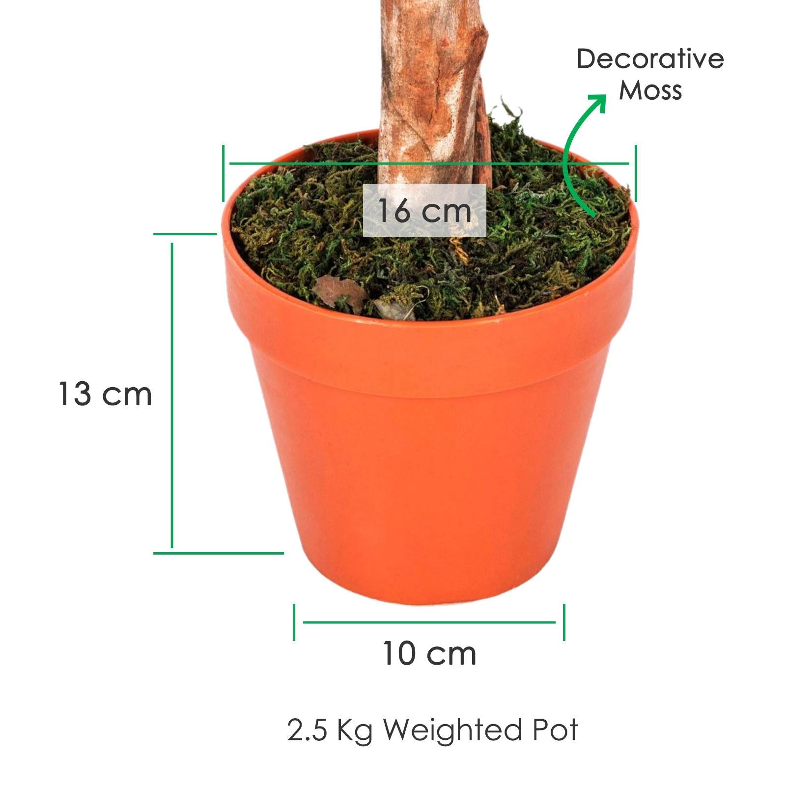 Artificial Ficus Tree - Large Realistic Faux Plant with Pot 4ft & 6ft