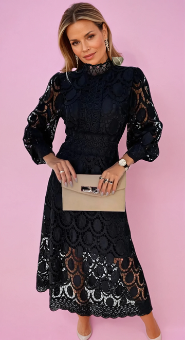 Lace Dress with Stand-Up Collar & Sheer Details