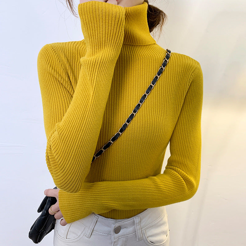 Turtleneck Sweater for Women
