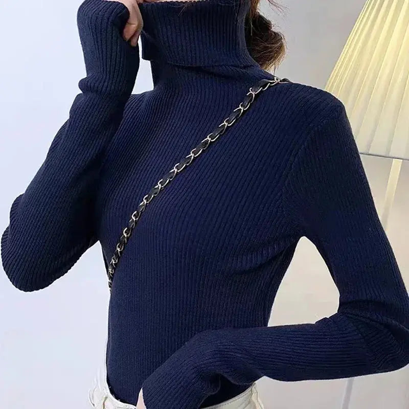 Turtleneck Sweater for Women