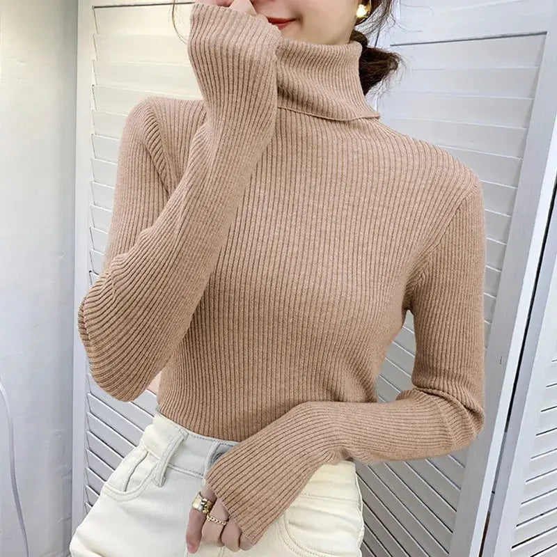 Turtleneck Sweater for Women