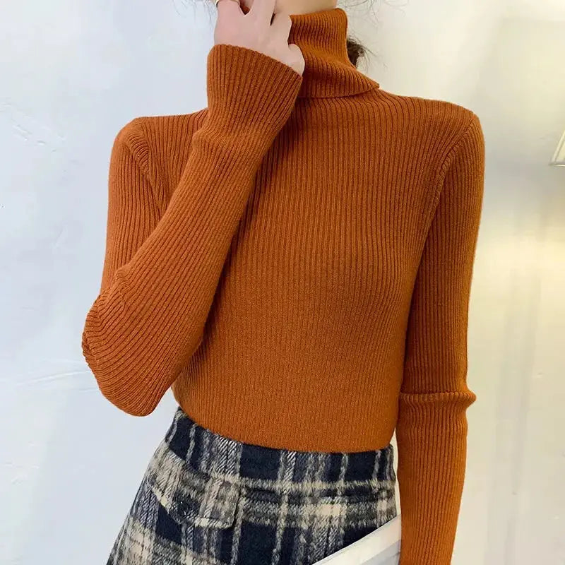 Turtleneck Sweater for Women