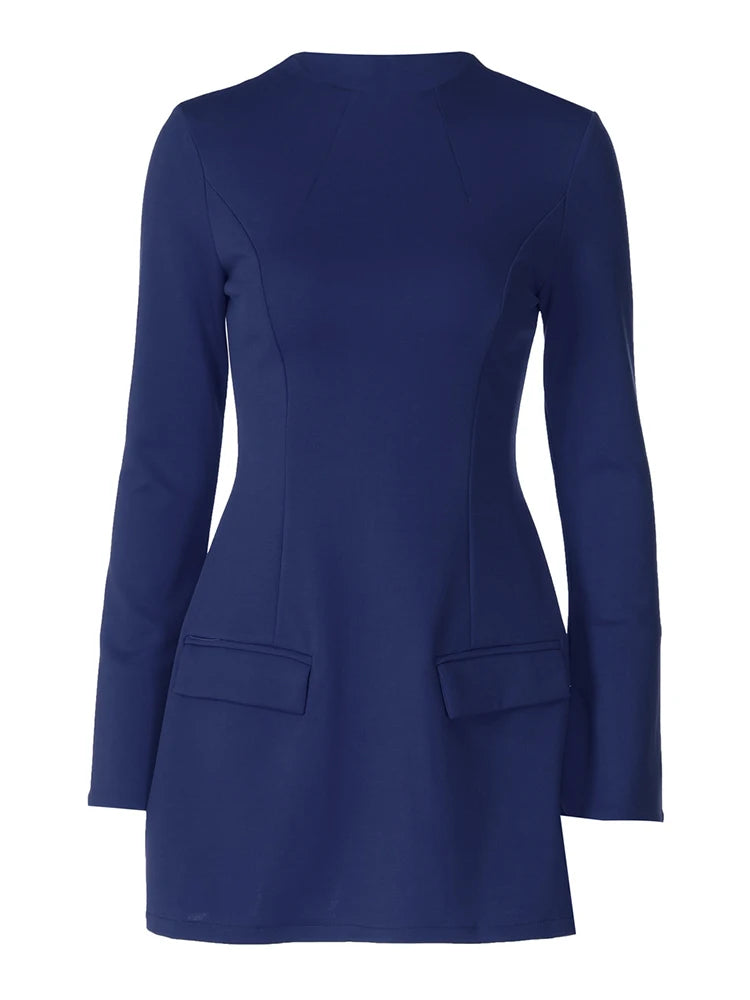 Long Sleeve A-Line Mini Dress with Pockets