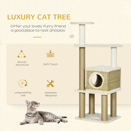 Cat playing on the climber tower

