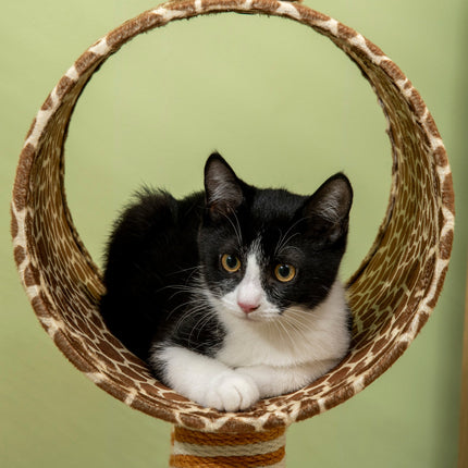 Cat tree with scratching posts and tunnel

