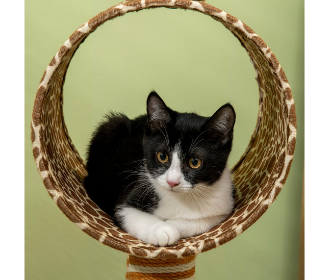 Cat tree with scratching posts and tunnel

