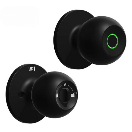 Smart fingerprint door lock in black finish
